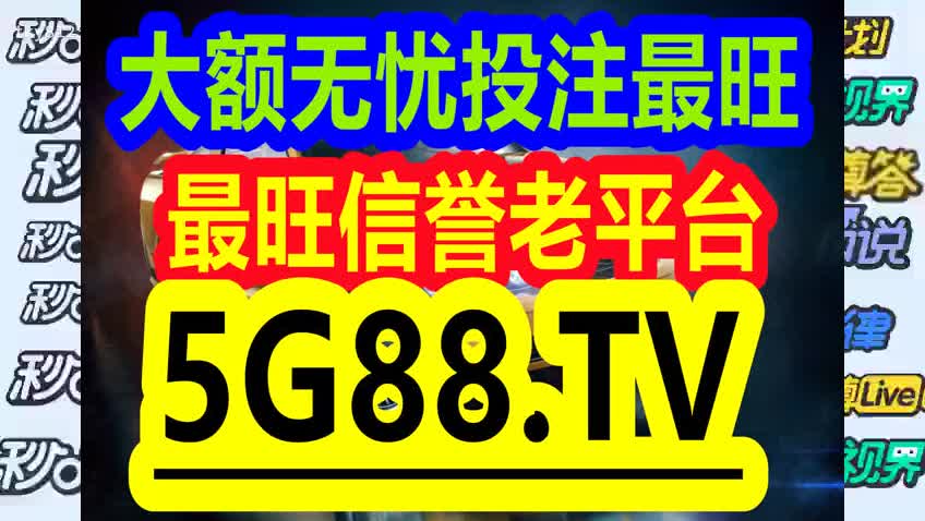 管家婆一码中一肖2024,管家婆一码中一肖，揭秘彩票预测背后的神秘面纱与未来展望（XXXX年）